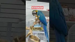 Барахолка в Америке Часть2 | Зачем все это😱 #usamarket #oldthings #handyman #capcut #capcuttutorial