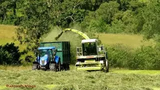 Silaging with Veteran Claas Jaguar 840.