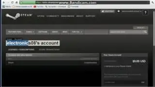 How to hack steam wallet!! 2017 no survey!!!!!!!!