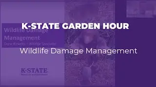 K-State Garden Hour: Wildlife Damage Management
