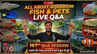 All About Aquarium fish Pets, Syed shah5001 is live