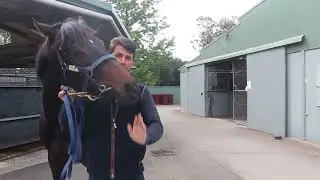 Lonhro x Lady Amanda with Rob Archibald's Comments