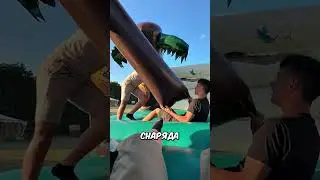 Он смастерил рогатку😱