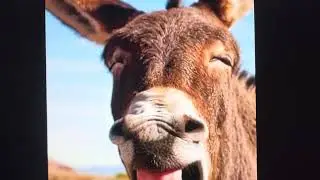 BANK SOCIAL CRYPTO EXPLOSION BECAUSE OTHER CRYPTO INFLUENCERS HAVE NO IDEA!