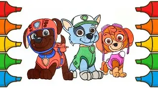 Paw Patrol the Movie | Coloring Pages | Skye, Rocky, Zuma #drawing #pawpatrol #cartoon #viralvideo
