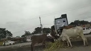 Life Of Poor People Of India Gujarat | Indian Village Life | Real Life India | Village Life Gujarat
