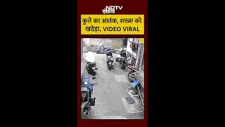 Dog Attack Viral Video: The terror of stray dogs continues, then a dog attacks a man. #Shorts