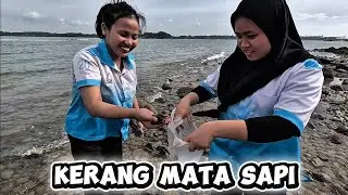 BERPETUALANG MENCARI KERANG DI LAUT PULAU PUTRI BERSAMA TEMAN