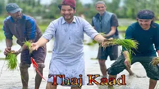 Thaj Kaad || Kashmiri Comedy Drama || Thal Rovin