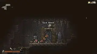 Vagante - This run has some 'wild' turns