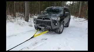 Tree Saver short