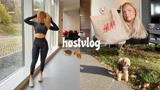 høstdager 🍂 shopping, haul, matlaging osv