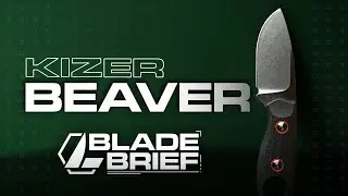 Kizer Beaver | Blade Brief EP 2