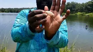 Finding Summer Bass in deep water ok the Bank