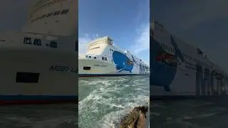 MOBY LEGACY | Livorno-Olbia