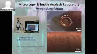 BRCF Technology & Services Showcase 2016 - STED Depletion Microscopy Speaking Session