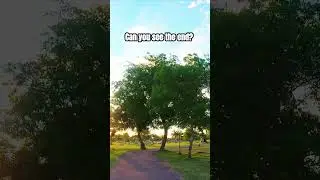 🌳 This Park Is So BIG You Can&rsquo;t See the End 😱