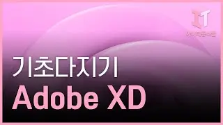 [HD]Adobe XD 2021 기초 다지기