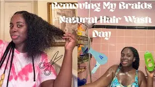 Removing My Braids + Natural Hair Wash Day 