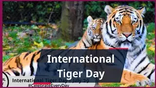International Tiger Day / Tiger Day / World Tiger Day .