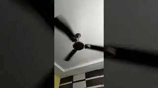 Robotic Fan