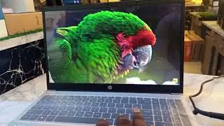 Best Budget Laptop? HP 255 G10 Review