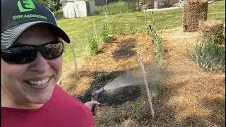 Garden PESTS | fixing garden issues | I have a plant PROBLEM!