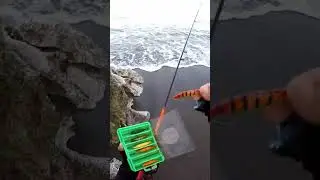 My kind of escape 🎣 #fishtrip #fishinglife #ultralightfishing #shortvideo #shorts #clips #viralvideo