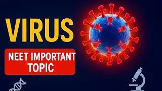 VIRUS | NEET Important Topic | Biology Class 11 | Structure, Types & Replication