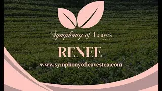 How SEO Helped Symphony of Leaves Tea Grow