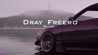 Dray Freero -  Muse [wave/phonk]
