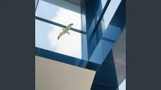 Seagull City