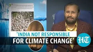 Watch: Prakash Javadekar says India on track to achieve Paris deal targets