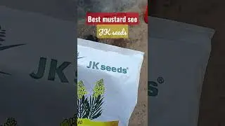 BEST MUSTARD SEEDS, JK SEEDS  sharts video,November 14, 2022