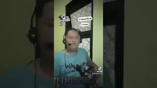 Cover Bass Tipe-X - Genit || #cover || #basscover || #bassist || #music