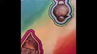 The Bassturd - More Fucked Up Than You