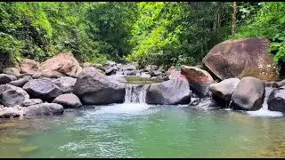 Millions Sleep to This Forest River Sound Deep Calm Water Flow for Stress Anxiety Relief