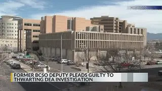 Former BCSO deputy pleads guilty to obstructing DEA investigation