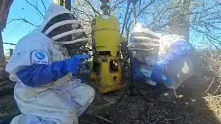 Integrated Pest Management With Killer Bees! [Livestream Replay]