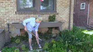 Functional landscape transformations