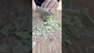 Practical Hygiene Stick for Camping 🏕️ Easy to Make! #lifehacks #survival #outdoors