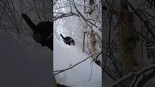 #doglife#winter#rooftop