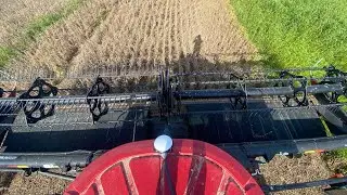 A Shocking Way to Start Harvest