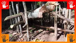 Классическая ловушка с чекой-четверкой для дичи величиной с енота