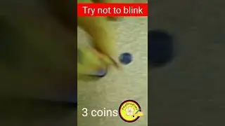 Coin multiplication Remote Trick