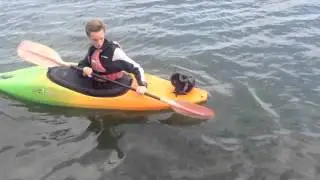 INTRODUCING THE SWEEP STROKE