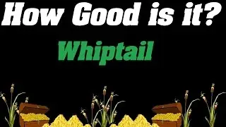 How Good is it? | Whiptail Goldfarming |