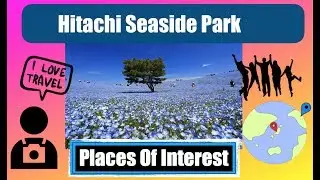Japan Places of Interest: Hitachi Seaside Park in Ibaraki Japan.