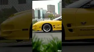 Trans Am CETA WS6 in the City! #shorts