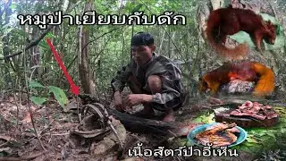 Wild boar steps on a trap